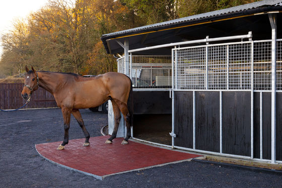 ভালো দাম কাস্টমাইজড এন্টি স্লিপ রাবার মেঝে মাদুর পৃষ্ঠ সুরক্ষার জন্য বিনামূল্যে নমুনা অনলাইন