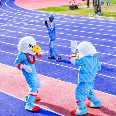 ভালো দাম অ-বিষাক্ত স্যান্ডউইচ রানিং ট্র্যাক, IAAF সার্টিফিকেশন সহ অ্যাথলেটিক রেস ট্র্যাক অনলাইন