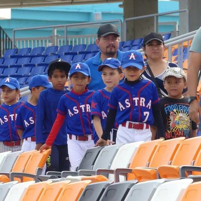 ভালো দাম প্লাস্টিকের ফোল্ডেবল টিপ আপ স্টেডিয়াম স্পোর্টস সিট অ্যান্টি এজিং অ্যান্টি ইউভি অনলাইন