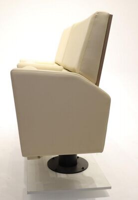 ভালো দাম বাণিজ্যিক টেকসই আধুনিক থিয়েটার সিটিং EN1021 ফায়ার রেটিং সহ সিনেমাগুলির জন্য সম্পূর্ণভাবে আচ্ছাদিত অনলাইন